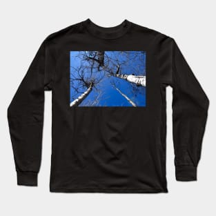 Aspen trees reaching up into the sky Long Sleeve T-Shirt